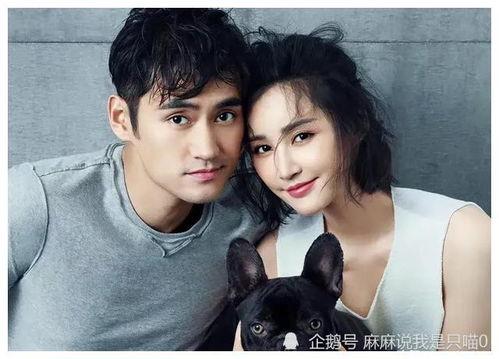 明星照片 52吃瓜爆料免费吃瓜视频,52吃瓜爆料免费吃瓜视频来袭！